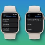 watchOS 11 finalmente permite a los usuarios cambiar el tono de llamada de su Apple Watch