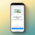 Apple Wallet ahora admite licencias de conducir digitales en 10 ubicaciones